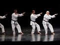Shorin Ryu Kyoshi Neil Stolsmark Karate Kata Demo Passai Sho Shorin Ryu Kyoshi Neil Stolsmark Karate Kata Demo Passai Sho