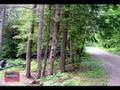 Maine Waterfront Cottage For Sale! Grand Lake! MOOERS #7516