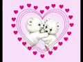 st valentin