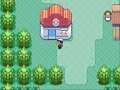 I hacked the game so that annoying mom and birch wouldn't stop me from leaving the first town. This is the result of that. Missingno too.