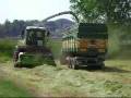 videos de the BEST TEAM AIRONE