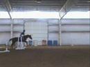 pvf halloween horse show pvf halloween horse show