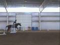 pvf halloween horse show