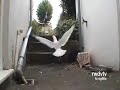 Get Off My Land Get Off My Land