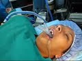 LMA Supreme. Dr. Nu�ez-Diquez, J.C.