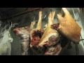 Chez Panisse Restaurant Berkeley Meat Locker and Kitchen Tour