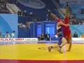 Wrestling WC 2007 - Baku