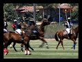 Showjumping Unplugged!TV Polo Edition - Dan Rollins