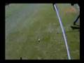 Showjumping Unplugged!TV Polo Edition - Dan Rollins