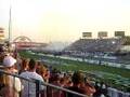 NHRA Nationals in Indy
