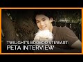 Twilight's Booboo Stewart for PETA