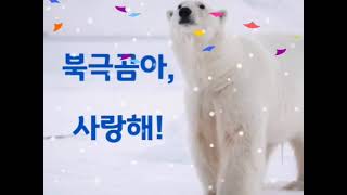 북극곰아(환경사랑 뮤비 1탄) 이미지