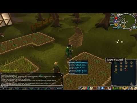 how to harvest grass seed by hand