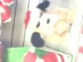 rapping dog from woolworths