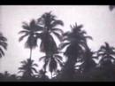 one of a series of early short films by asa mader, shot in mexico. music by richard horowitz.
