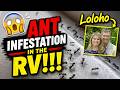 Airstream Blog - Matthew McConaughey Has Ants