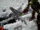 Toa Natur vs Makuta Pharex 4 preview Toa Natur vs Makuta Pharex 4 preview