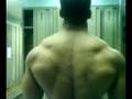 muscles