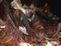 on site whole hog
