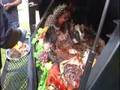 on site whole hog
