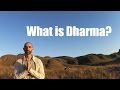 What is Dharma and How to Live It? What is Dharma and How to Live It?