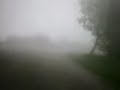 Pianezze MTB part2
