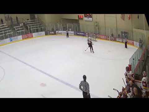 As a defenseman, I was 2-4 in shootouts in 2021-22, here's my tuck move