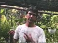 Cultivo de Brom�lias - Alcantarea Imperialis - PARTE 2 de 5
