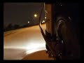 Honda Ruckus with Kijima headlight part I