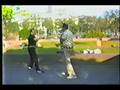 Grandmaster Tatang and Master Ricketts Sparring