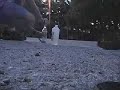 Chlorine & Alcohol Bomb