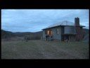 Quoll Movie