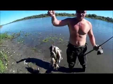 рыбалка окунь отводной видео рыбалка окунь отводной видео
