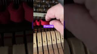 Tuning - Pitch Raise #shorts #pianotechnician