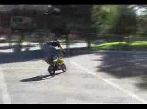 pit bike stunts