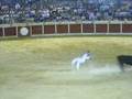 videos de eloy en calanda2