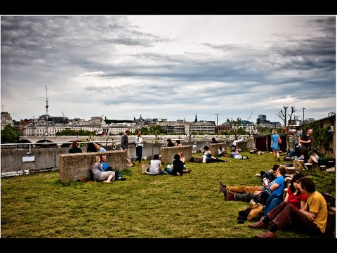 Green roofs can help cities adapt to climate change
