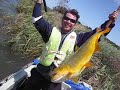 PHzus - Pesca Dourado Anzol N_16 PHzus - Pesca Dourado Anzol N_16