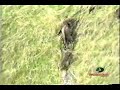 Mossy Oak- The Fight is On Mossy Oak- The Fight is On