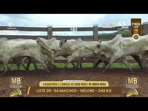 9� MEGA LEIL�O DA MB LEIL�ES