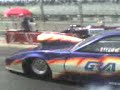 pachelo vette