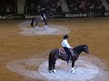 Fest der Pferde 2008: Showtime: Klassik trifft western