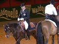 Fest der Pferde 2008: Showtime: Klassik trifft western
