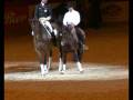 Fest der Pferde 2008: Showtime: Klassik trifft western
