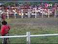 videos de RODEO EN LA FERIA DE LA GOMERA No. 1
