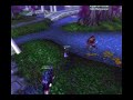 wow-bugged-druid-form.html