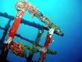 Roatan, Honduras Dive Trip
