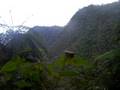 videos de Bird singing in jungle of Mangaray, Flores, Indonesia