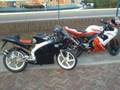 aprilia rs 50 yamaha tzr yamaha tzr streetfight aerox tuning