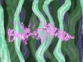 Bamboo Blossoms 【がくっぽいど】